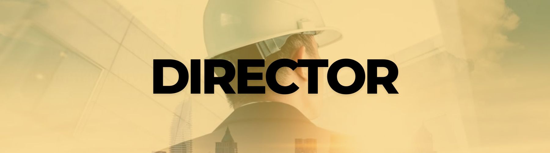 Director Profile